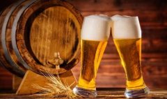 酒精可以消滅螞蟻嗎？(啤酒可以驅趕螞蟻嗎?)