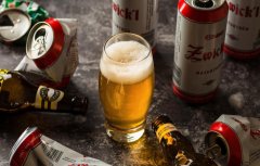 愛(ài)爾蘭艾爾啤酒（艾爾啤酒常見(jiàn)品牌）