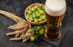 市面上的啤酒都是工業啤酒嗎？（如何進行啤酒綜合評估？）